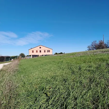 Nidodoricoguesthouse *