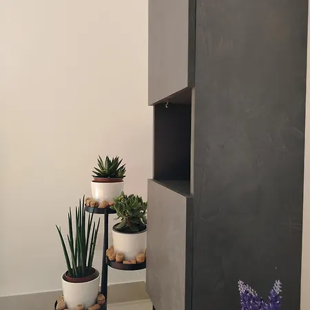 Nidodoricoguesthouse Appartement Ancona